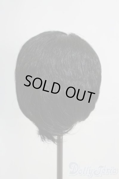 画像4: 8-9inch/ウィッグ I-25-05-25-3041-TO-ZI (4)