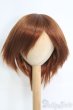 画像1: 8-9inch/ウィッグ I-25-06-08-3024-TO-ZI (1)