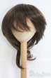 画像1: 8-9inch/ウィッグ I-25-06-08-3022-TO-ZI (1)