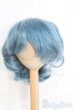 画像1: 9-10inch/ウィッグ I-25-06-01-2033-TO-ZI (1)