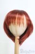 画像1: 9-10inch/ウィッグ I-25-06-29-3039-TO-ZI (1)