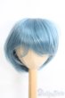 画像1: 9-10inch/ウィッグ I-25-06-22-3037-TO-ZI (1)