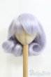 画像1: 9-10inch/ウィッグ I-25-06-22-3040-TO-ZI (1)