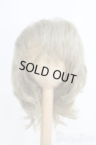 画像1: 9-10inch/ウィッグ I-25-06-29-3040-TO-ZI (1)