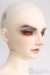 画像3: SD17男の子/Ludo〜the Grey Tail〜灰白狼のルド I-25-06-01-1001-YB-ZI (3)