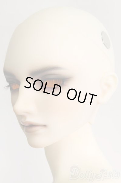 画像4: SD17男の子/Ludo〜the Grey Tail〜灰白狼のルド I-25-06-01-1001-YB-ZI (4)