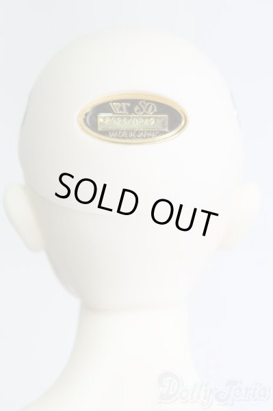 画像5: SD17男の子/Ludo〜the Grey Tail〜灰白狼のルド I-25-06-01-1001-YB-ZI (5)