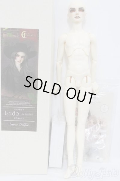 画像6: SD17男の子/Ludo〜the Grey Tail〜灰白狼のルド I-25-06-01-1001-YB-ZI (6)