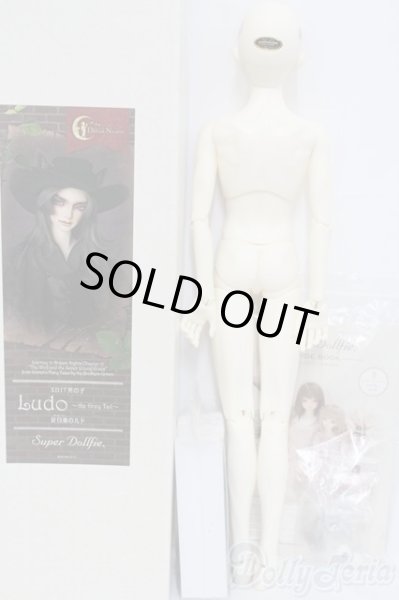 画像7: SD17男の子/Ludo〜the Grey Tail〜灰白狼のルド I-25-06-01-1001-YB-ZI (7)