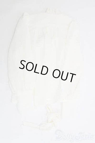 画像2: SD17B/OF:トップス I-25-06-15-2037-YB-ZI (2)