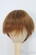 画像1: 6-7inch/ウィッグ/インチ　BJD　MJD　ドール用 I-25-07-13-2012-TO-ZI (1)