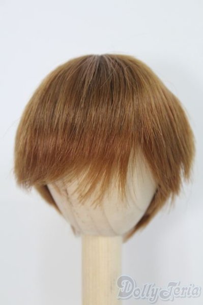 画像1: 6-7inch/ウィッグ/インチ　BJD　MJD　ドール用 I-25-07-13-2012-TO-ZI (1)