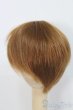 画像2: 6-7inch/ウィッグ/インチ　BJD　MJD　ドール用 I-25-07-13-2012-TO-ZI (2)