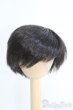 画像1: 6-7inch/ウィッグ/インチ　BJD　MJD　ドール用 I-25-07-06-2014-KD-ZI (1)