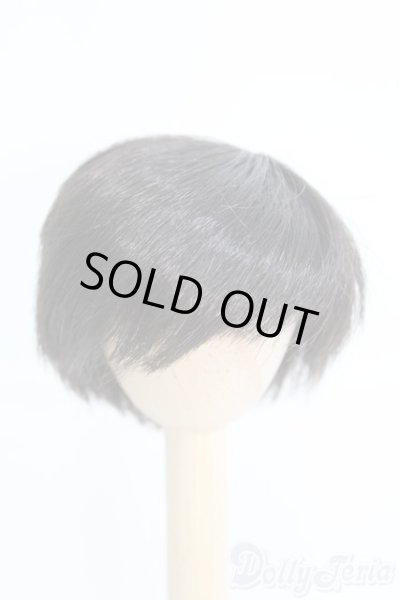 画像1: 6-7inch/ウィッグ/インチ　BJD　MJD　ドール用 I-25-07-06-2014-KD-ZI (1)