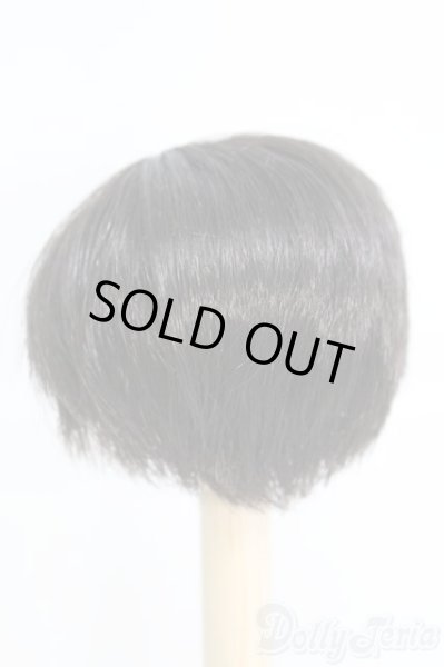 画像2: 6-7inch/ウィッグ/インチ　BJD　MJD　ドール用 I-25-07-06-2014-KD-ZI (2)