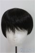 画像1: 8-9inch/ウィッグ　BJD　MJD　ドール用 I-25-08-03-189-KD-ZI (1)
