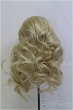 画像3: 8-9inch/ウィッグ　BJD　MJD　ドール用 I-25-08-03-182-TO-ZI (3)