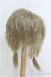 画像2: 9-10inch/ウィッグ/インチ　BJD　MJD　ドール用 I-25-07-27-148-TO-ZI (2)