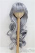 画像1: 9-10inch/ウィッグ/インチ　BJD　MJD　ドール用 I-25-07-27-139-TO-ZI (1)