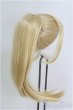 画像2: 8inch/ウィッグ/インチ　BJD　MJD　ドール用 I-25-07-27-116-TO-ZI (2)
