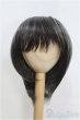 画像1: 9-10inch/ウィッグ/インチ　BJD　MJD　ドール用 I-25-07-27-147-TO-ZI (1)