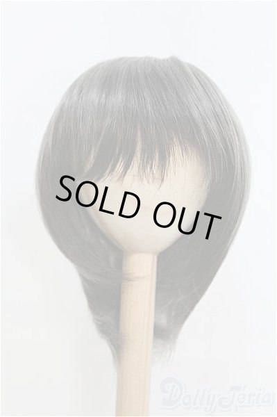 画像1: 9-10inch/ウィッグ/インチ　BJD　MJD　ドール用 I-25-07-27-147-TO-ZI (1)