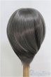 画像2: 9-10inch/ウィッグ/インチ　BJD　MJD　ドール用 I-25-07-27-147-TO-ZI (2)
