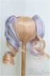 画像2: 9-10inch/ウィッグ/インチ　BJD　MJD　ドール用 I-25-07-27-137-TO-ZI (2)