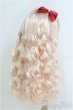 画像2: 9-10inch/ウィッグ/インチ　BJD　MJD　ドール用 I-25-07-27-135-TO-ZI (2)