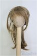 画像1: 6-7inch/ウィッグ/インチ　BJD　MJD　ドール用 I-25-07-27-125-TO-ZI (1)