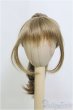 画像1: 6-7inch/ウィッグ/インチ　BJD　MJD　ドール用 I-25-07-27-120-TO-ZI (1)