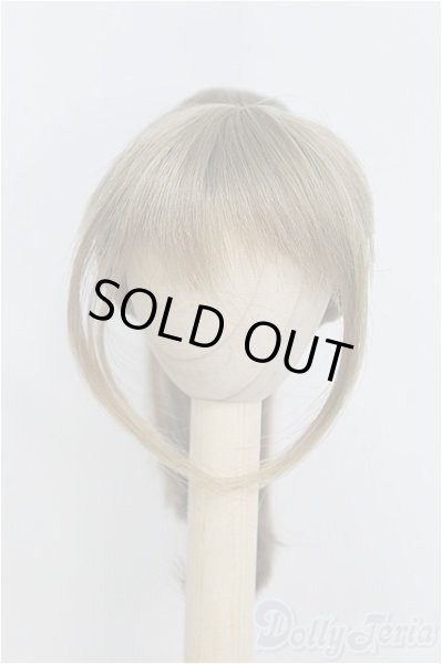 画像1: 6-7inch/ウィッグ/インチ　BJD　MJD　ドール用 I-25-07-27-126-TO-ZI (1)