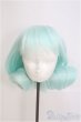 画像1: 8-9inch/ウィッグ　BJD　MJD　ドール用 I-25-08-03-179-TO-ZI (1)