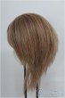 画像2: 8-9inch/ウィッグ　BJD　MJD　ドール用 I-25-08-03-184-KD-ZI (2)