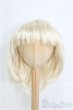 画像1: 9-10inch/ウィッグ　BJD　MJD　ドール用 I-25-08-03-159-KD-ZI (1)