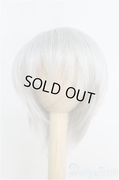 画像1: ウィッグ/7inch/インチ　BJD　MJD　ドール用 I-25-07-27-131-TO-ZI (1)