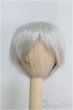 画像1: 6-7inch/ウィッグ/インチ　BJD　MJD　ドール用 I-25-07-27-127-TO-ZI (1)