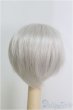 画像2: 6-7inch/ウィッグ/インチ　BJD　MJD　ドール用 I-25-07-27-127-TO-ZI (2)