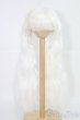 画像1: 9inch/ウィッグ：ドーリーツイン みさんとるーぷ様製/インチ　BJD　MJD　ドール用 I-25-07-06-1057-YB-ZI (1)