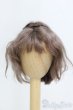 画像1: 7-8inch/モヘアウィッグ　Awen製/インチ　BJD　MJD　ドール用 I-25-07-13-1027-KD-ZI (1)