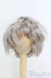 画像1: 7-8inch/モヘアウィッグ　Awen製/インチ　BJD　MJD　ドール用 I-25-07-13-1026-KD-ZI (1)