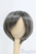 画像1: 6-7inch/ウィッグ/インチ　BJD　MJD　ドール用 I-25-07-13-1036-KD-ZI (1)