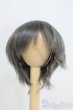 画像1: 7-8inch/ウィッグ/インチ　BJD　MJD　ドール用 I-25-07-13-1030-KD-ZI (1)
