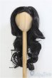 画像1: 9-10inch/ウィッグ　フェミニンカールロング　BJD　MJD　ドール用 I-25-07-27-398-KD-ZI (1)