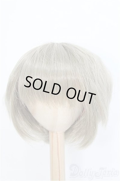 画像1: 9-10inch/ウィッグ　DeeRibbon　BJD　MJD　ドール用 I-25-07-27-399-KD-ZI (1)