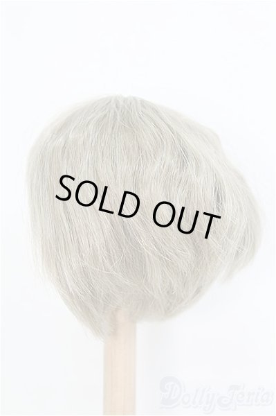 画像2: 9-10inch/ウィッグ　DeeRibbon　BJD　MJD　ドール用 I-25-07-27-399-KD-ZI (2)