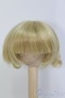 画像1: 6-7inch/ウィッグ　VOLKS/インチ　BJD　MJD　ドール用 I-25-07-20-284-KD-ZI (1)