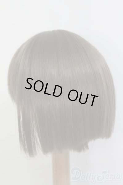 画像2: 8-9inch/ウィッグ/インチ　BJD　MJD　ドール用 I-25-07-20-292-SK-ZI (2)