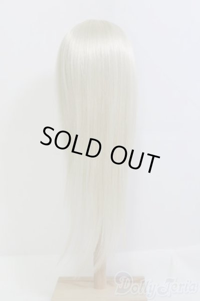 画像3: 8-9inch/ウィッグ/インチ　BJD　MJD　ドール用 I-25-07-20-291-SK-ZI (3)